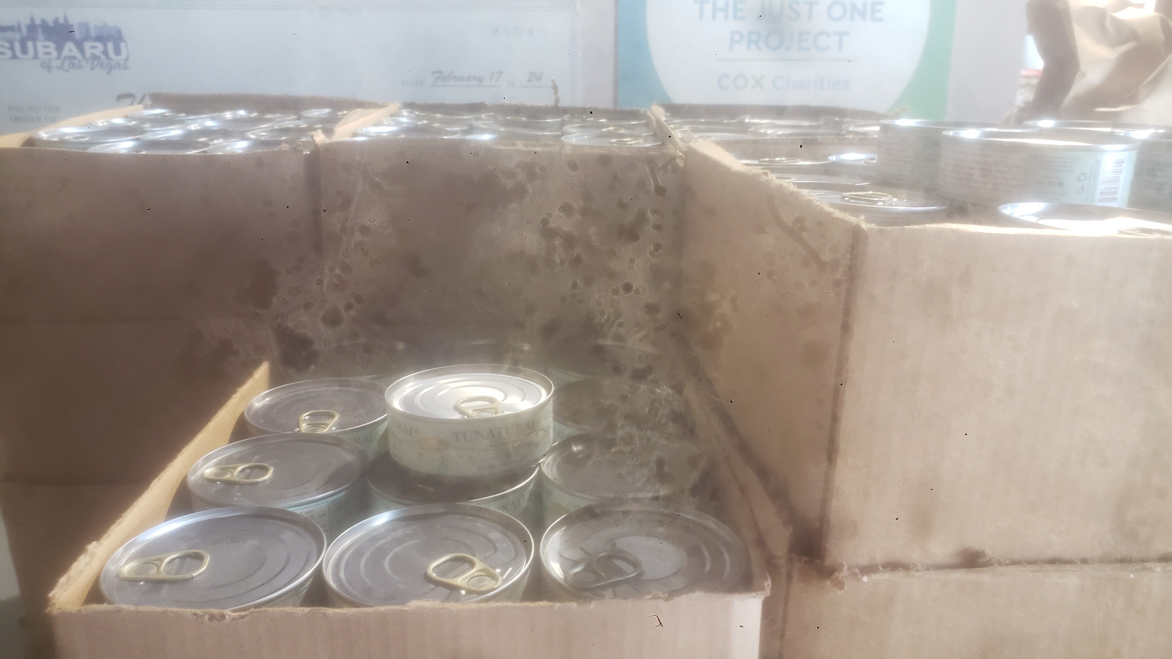 Canned tuna in cardboard boxes.